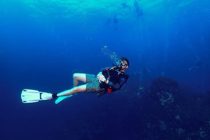 1 Day Discover Scuba Diving Experience in Koh Tao - Why the four-person limit matters