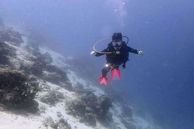 1 Day Diving Experience in Semporna - Who should book this Semporna outing?