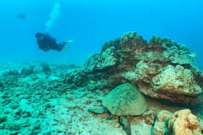 1 Tank Discover Scuba at Koloa Landing with No Experience needed