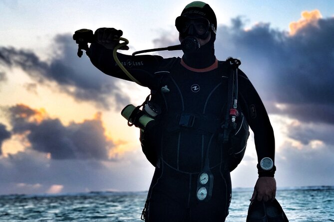 1 Tank Dive for certified divers - Meeting Doctor Dive Costa Maya in Mahahual
