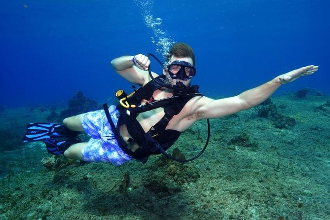 1 Tank Guided Shore Dive Including Equipment - Key Details Before You Book