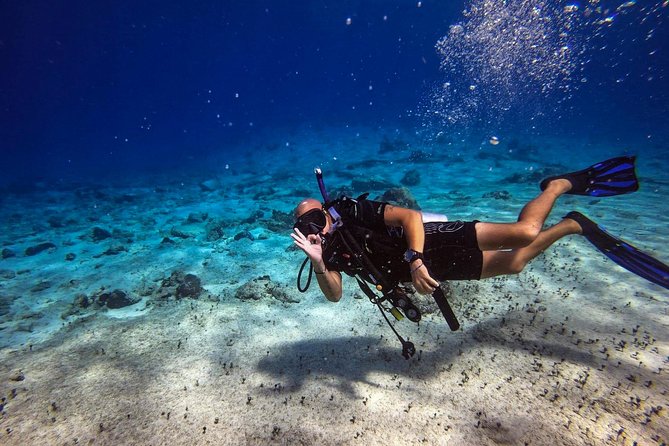 1 Tank Guided Shore Dive Including Equipment - What the 90-Minute Schedule Feels Like