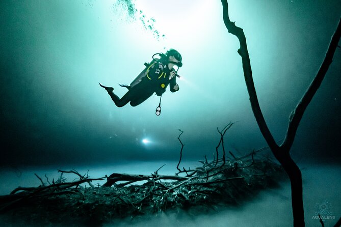 2 cenote divings (including one deep diving) for advanced divers in Tulum - Why This Tulum Cenote Trip Is Different