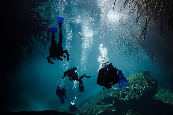 2 cenote divings (including one deep diving) for advanced divers in Tulum - Practical Tips for a Smoother Morning