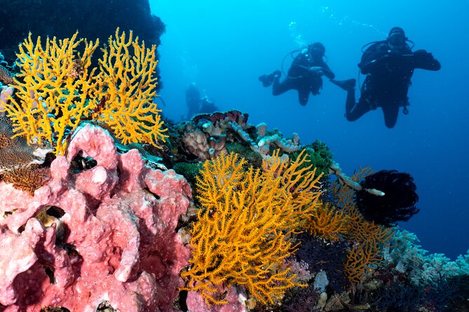 2 Days & 1 Night - 2 Dives in Lembongan/Penida (for certified divers) - Equipment, lunch, and the practical inclusions