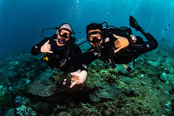 2 Days Discover Scuba Diving in Nusa Lembongan - Scuba Initiation - Is $151.01 good value?