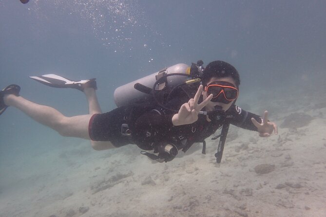 2 Days Diving Trip to Koh Tao Including 4 Dives and Accommodation - Four Underwater Sessions Around Koh Tao and Koh Nang Yuan