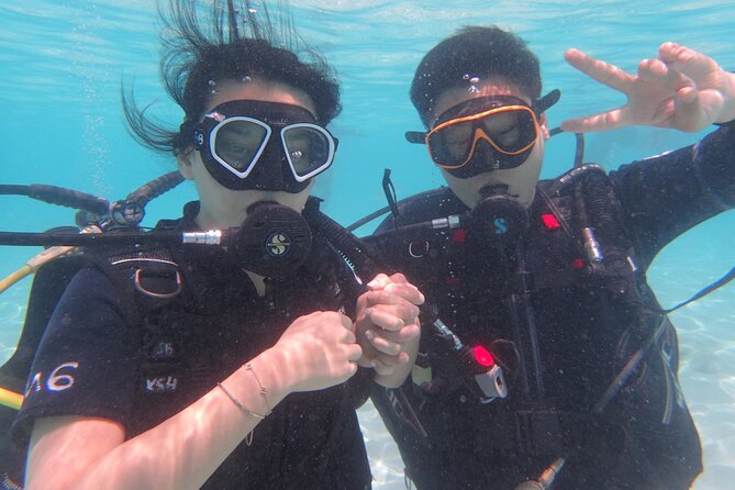 2 Days Diving Trip to Koh Tao Including 4 Dives and Accommodation - Day Two: Two More Sessions and a 5 p.m. Return