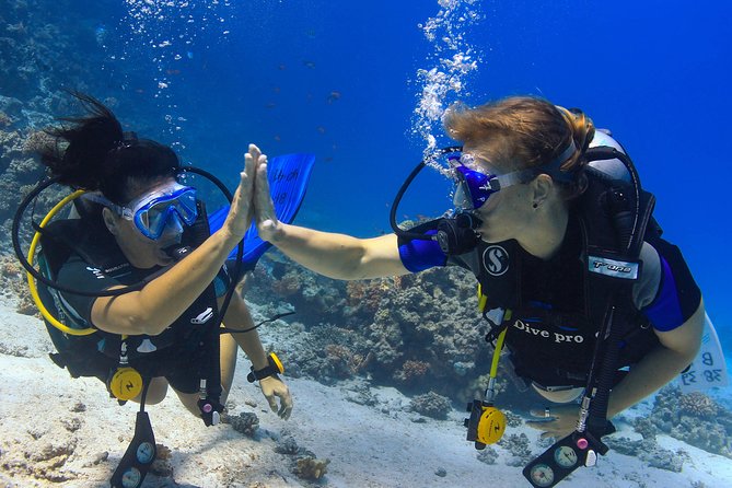 2-Dive adventure-Safe & Top-rated boat for Certified Divers - Why this Hurghada boat day works