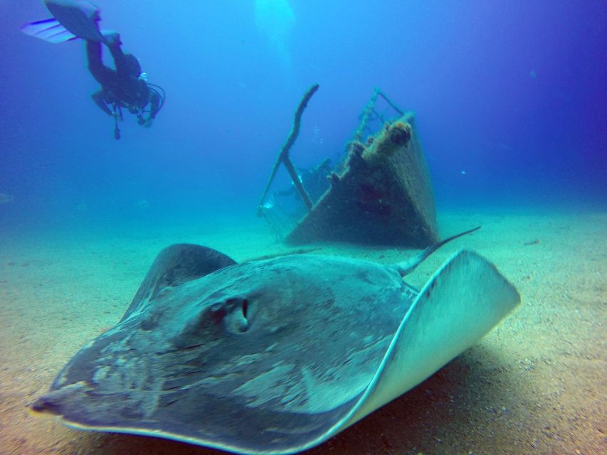 2-Dive Guided Scuba Diving For Qualified Divers - What the $97 Price Really Covers