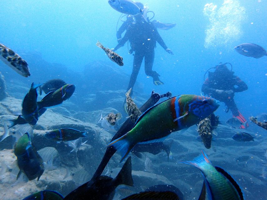 2-Dive Guided Scuba Diving For Qualified Divers - Who Will Get the Most From This Experience?