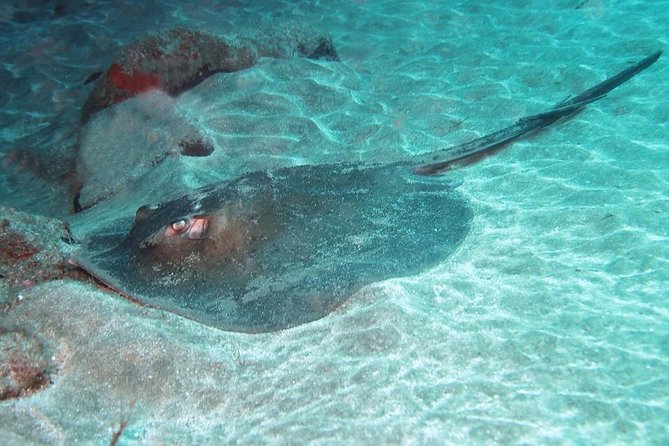 2 Dive Package for Qualified Divers in Gran Canaria - Key Points Before You Book