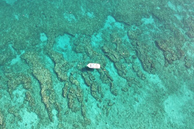 2 Dive Scuba Diving Reef Excursion to Key Largo Marine Sanctuary - Why two sites make this a better half-day
