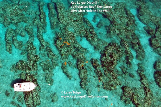 2 Dive Scuba Diving Reef Excursion to Key Largo Marine Sanctuary - Equipment, support, and comfort