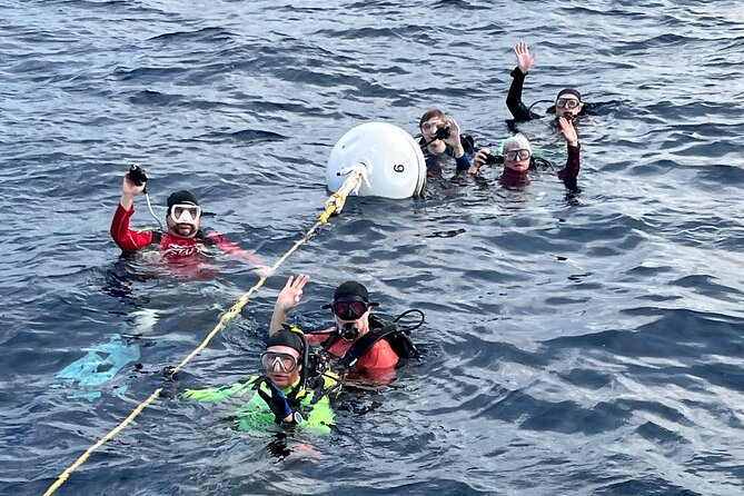 2 Dive Scuba Diving Reef Excursion to Key Largo Marine Sanctuary - What the $99 price really buys you