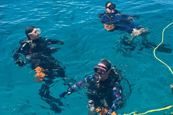 2 Dive Scuba Diving Reef Excursion to Key Largo Marine Sanctuary - How to prepare for a calmer morning