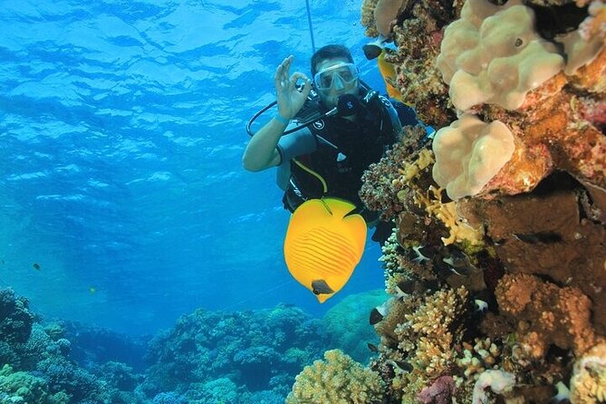2 Dive Stops Intro Scuba Diving With Lunch & Transfer - Hurghada - Abu Ramada And The Second Reef Stop
