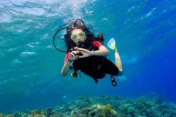 2 Dive Stops Intro Scuba Diving With Lunch & Transfer - Hurghada - Lunch Onboard And Time Between Stops