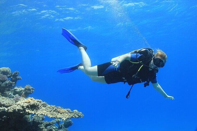 2 Dive Stops Intro Scuba Diving With Lunch & Transfer - Hurghada - What The $21 Price Really Covers