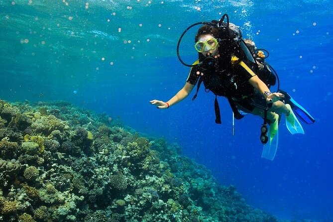 2 Dive Stops Intro Scuba Diving With Lunch & Transfer - Hurghada - Practical Tips For A Smoother Day
