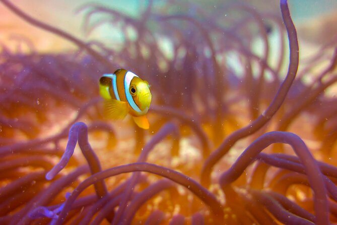 (2 Dives) Discover Scuba Diving Kota Kinabalu - What the $129.98 Price Covers