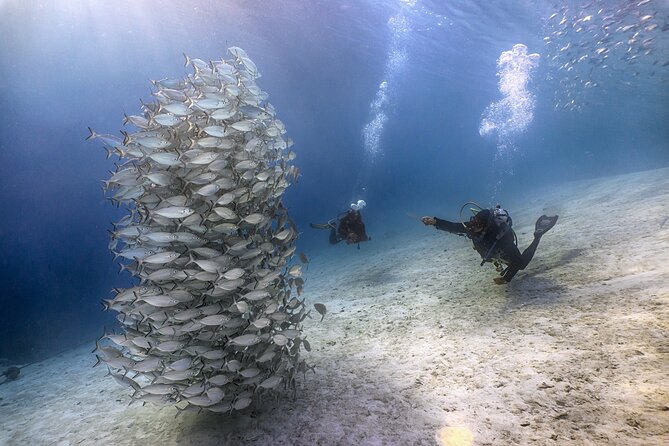 (2 Dives) Discover Scuba Diving Kota Kinabalu - Timing, Comfort, and Group Size