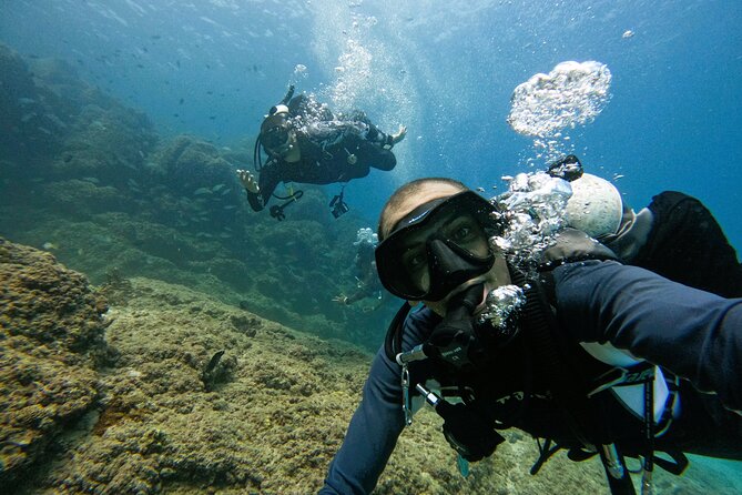 2 Dives for certified divers in Fujairah with BBQ lunch - Meeting the crew at Reef Oasis Diving Center