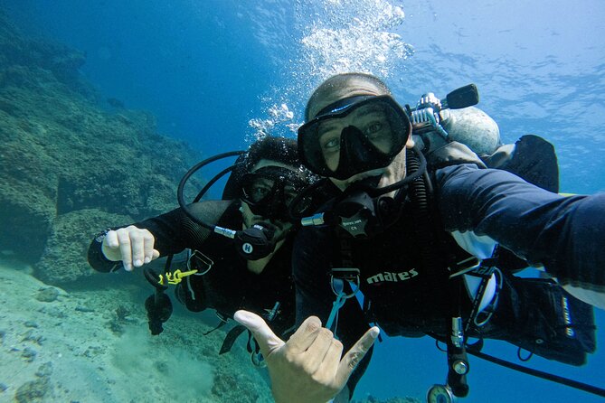 2 Dives for Certified Divers in Fujairah with lunch & transfer - Is $150.70 A Fair Price?