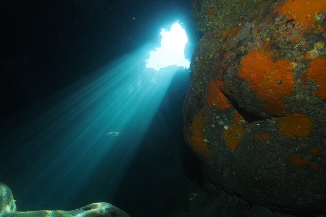 2 Dives from Diving Center (with full equipment) - Two sessions give beginners time to settle in