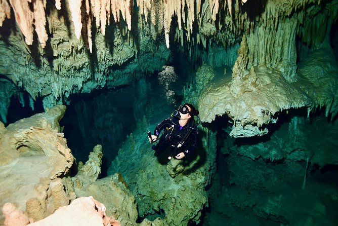 2 dives in Cenote Dos ojos Certified Divers - Starting at Agua Clara Diving Tulum at 8:30