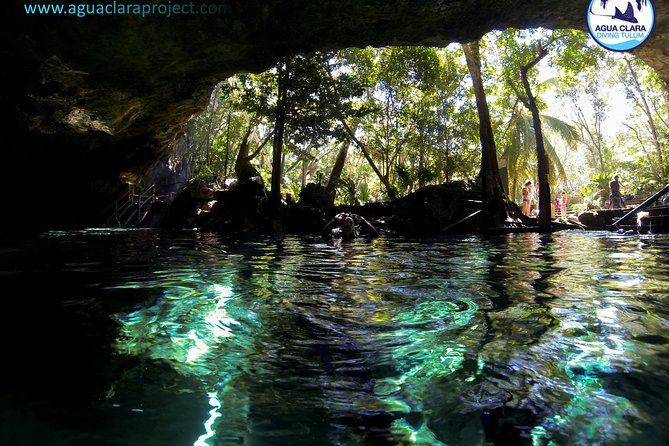 2 dives in Cenote Dos ojos Certified Divers - The first 40 to 45 minute session