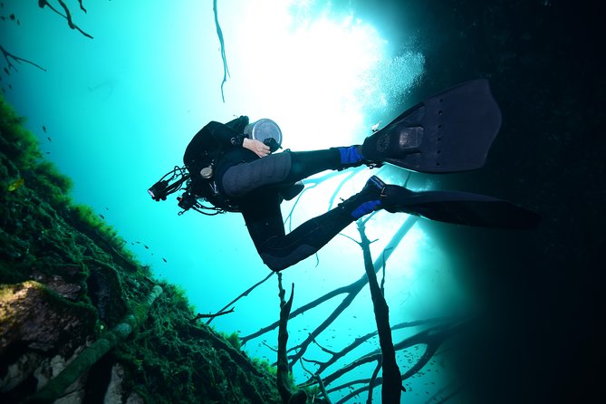 2 dives in Cenote Dos ojos Certified Divers - How much value do you get for $200?