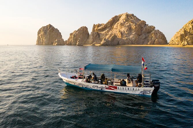 2 Dives in the Cabo Marine Park - Who will get the most from this outing?
