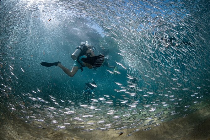 2 Dives in the Cabo Marine Park - Pelican Rock, Land’s End, and Neptune’s Finger