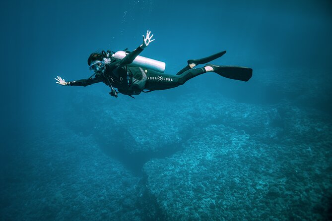 2 Dives in the morning for certified divers in Bora Bora - Equipment, boat comfort, and the break between sessions
