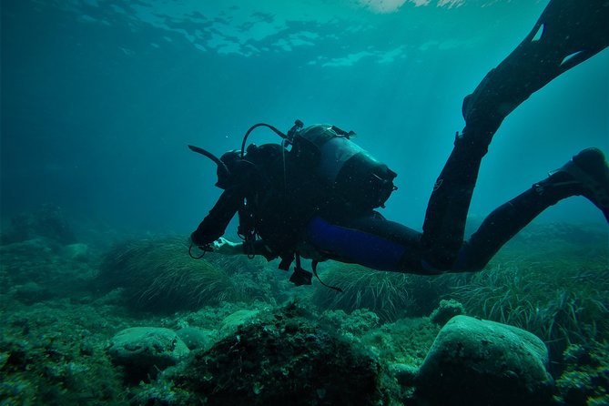 2 Dives Package - Key details before you book