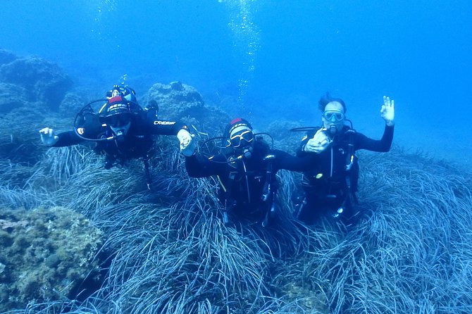 2 Dives Package - What the $100.60 price gets you