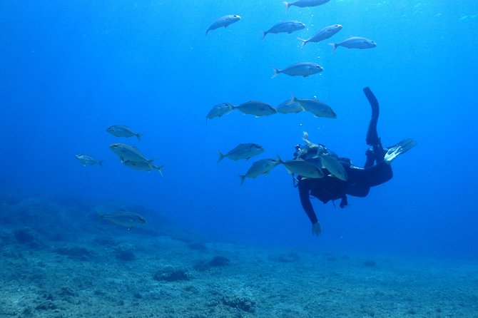 2 Dives Package - Who should book this experience?