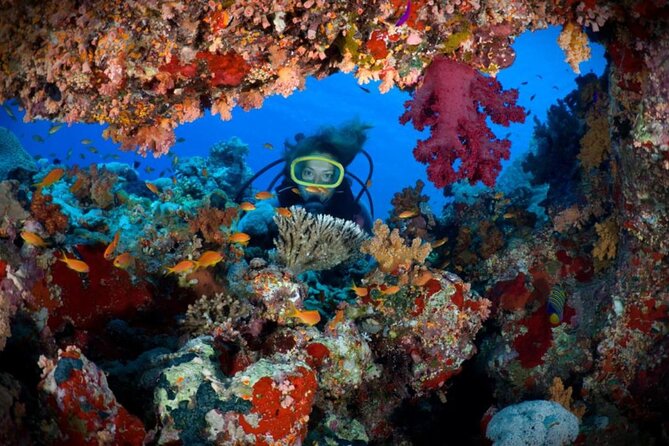 2 Diving stops at the most beautiful coral reefs Hurghada - Key points to know before booking