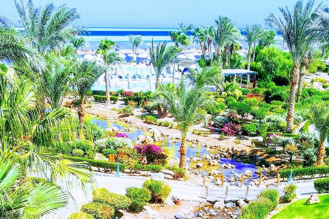 2 Diving stops at the most beautiful coral reefs Hurghada - Who will get the most from this day