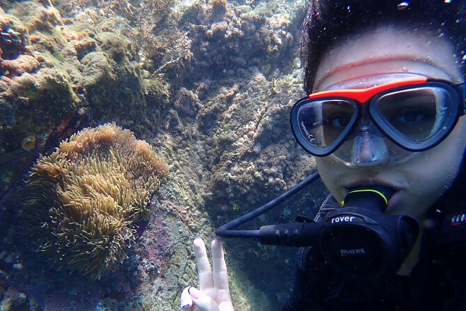 2 Fun Dives for certified Divers - Second descent and the value of a small group