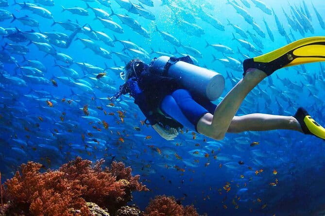 2 Fun Dives in Racha Yai or Noi for Certified Divers - What is included on the boat