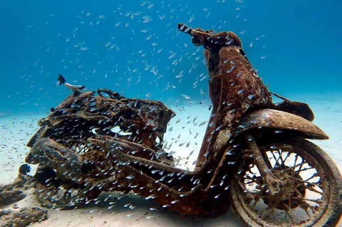 2 Fun Dives in Racha Yai or Noi for Certified Divers - Two sessions, each up to 50 minutes