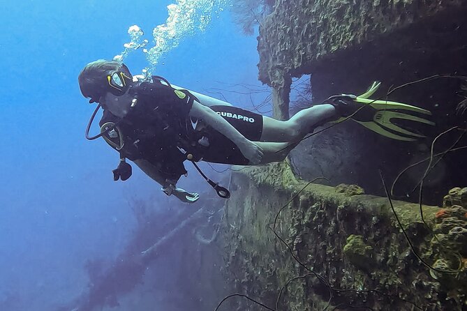 2 guided shore dives in Curacao - Key points at a glance