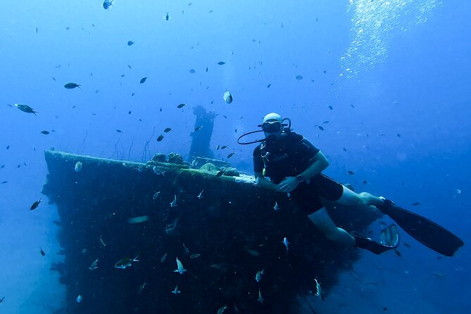 2 guided shore dives in Curacao - Who should book this experience?