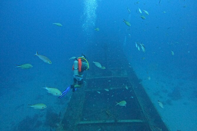 2 guided shore dives in Curacao - Why Tugboat Beach matters