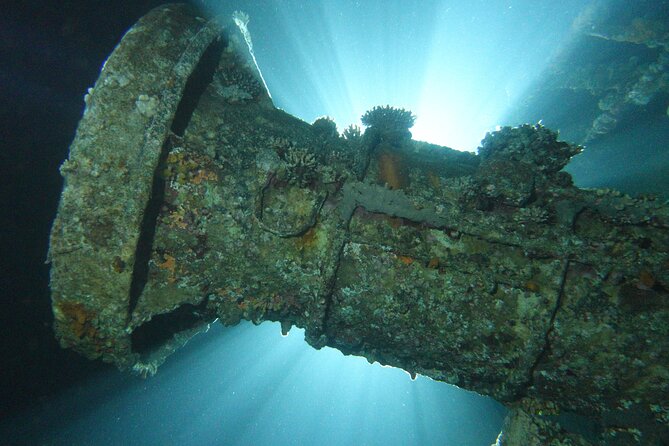 2 Hour Private Night Diving in the Red Sea of Aqaba - Meeting at 8:00 pm in Aqaba