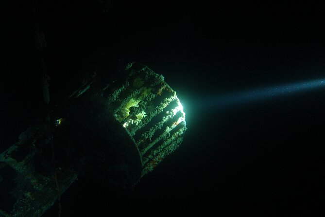 2 Hour Private Night Diving in the Red Sea of Aqaba - About 45 minutes below the surface