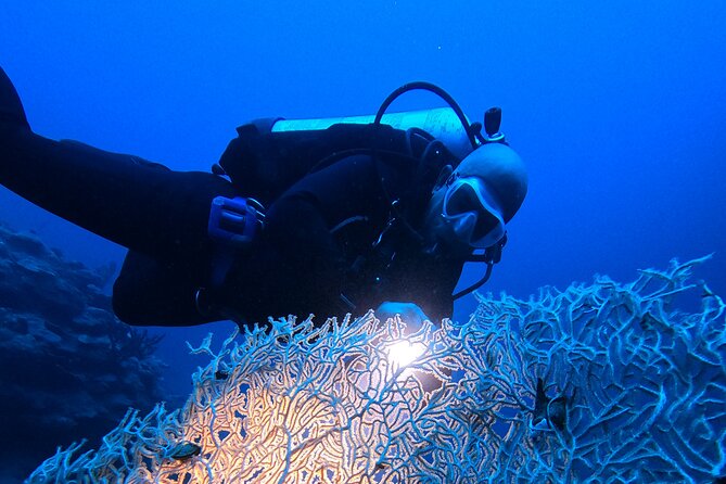 2 Hour Private Night Diving in the Red Sea of Aqaba - Who should choose this Aqaba night outing