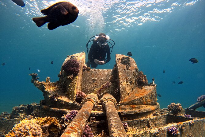 2-Hour Private Scuba Experience in Aqaba - Photos and videos to remember the session